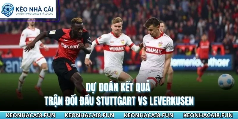 Nhận Định Trận Stuttgart Vs Leverkusen Ngày 9/5/2026 - Bundesliga 3 Dự đoán kết quả trận đối đầu Stuttgart vs Leverkusen