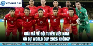 Giải Mã Về Đội Tuyển Việt Nam Có Dự World Cup 2026 Không? 17 Đội tuyển Việt Nam có dự world cup 2026 không