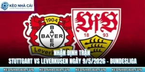 Nhận Định Trận Stuttgart Vs Leverkusen Ngày 9/5/2026 - Bundesliga 15 nhận định trận Stuttgart vs Leverkusen ngày 9/5/2026