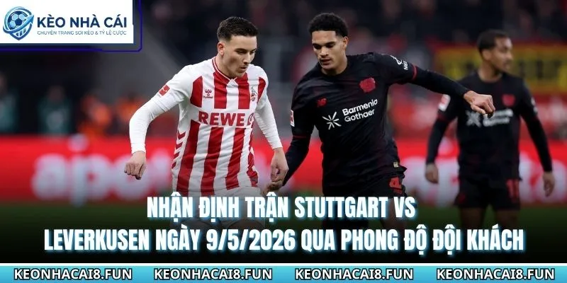 Nhận Định Trận Stuttgart Vs Leverkusen Ngày 9/5/2026 - Bundesliga 2 Nhận định trận Stuttgart vs Leverkusen ngày 9/5/2026 từ thống kê chạm mặt