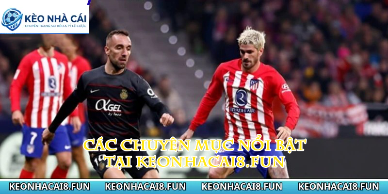 KÈO NHÀ CÁI 35 Các chuyên mục nổi bật tại keonhacai