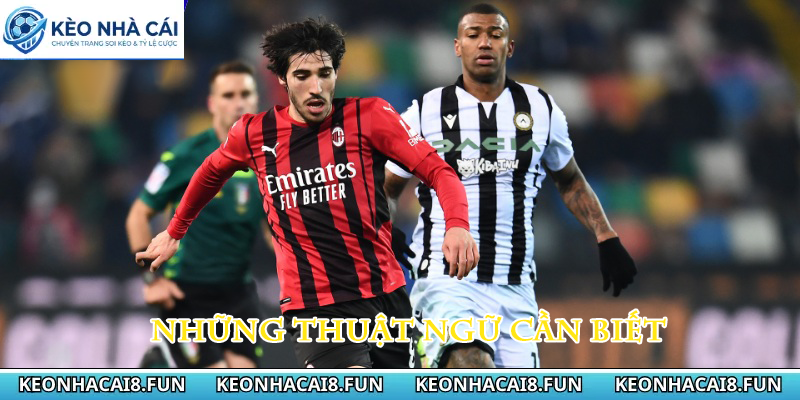 KÈO NHÀ CÁI 36 Những thuật ngữ cần biết
